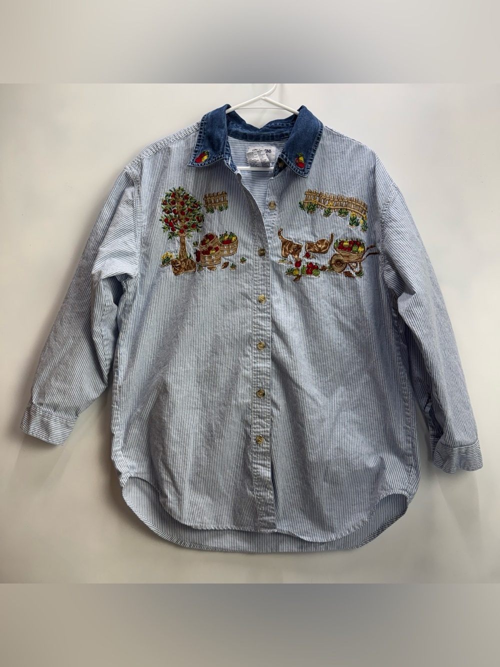 Vintage Solutions Original Women’s Striped Button-Up with Embroidery
